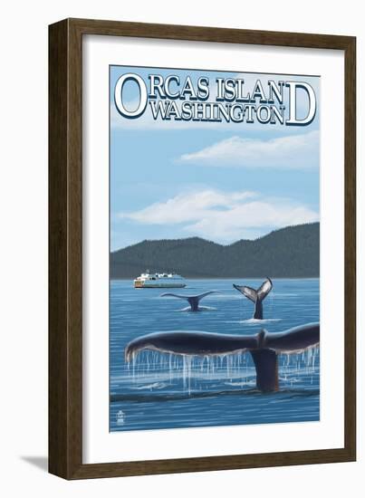 Orcas Island, WA - Whales and Ferry-Lantern Press-Framed Art Print