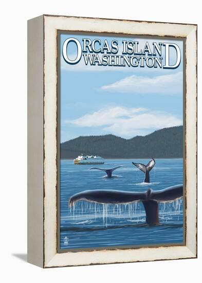 Orcas Island, WA - Whales and Ferry-Lantern Press-Framed Stretched Canvas