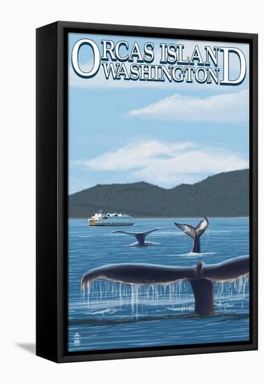 Orcas Island, WA - Whales and Ferry-Lantern Press-Framed Stretched Canvas