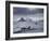 Orcas (Orcinus Orca) Pair in Sea Surrounded by Mountains, Iceland, January-Ben Hall-Framed Photographic Print