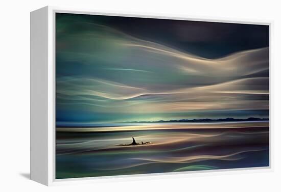 Orcas-Ursula Abresch-Framed Premier Image Canvas