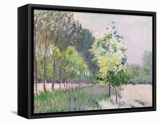 Orchard and Avenue of Trees (Oil on Canvas)-Gustave Caillebotte-Framed Premier Image Canvas