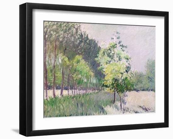 Orchard and Avenue of Trees (Oil on Canvas)-Gustave Caillebotte-Framed Giclee Print