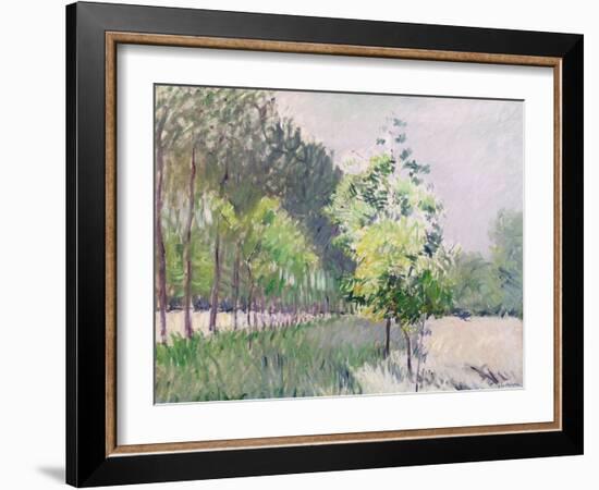 Orchard and Avenue of Trees (Oil on Canvas)-Gustave Caillebotte-Framed Giclee Print