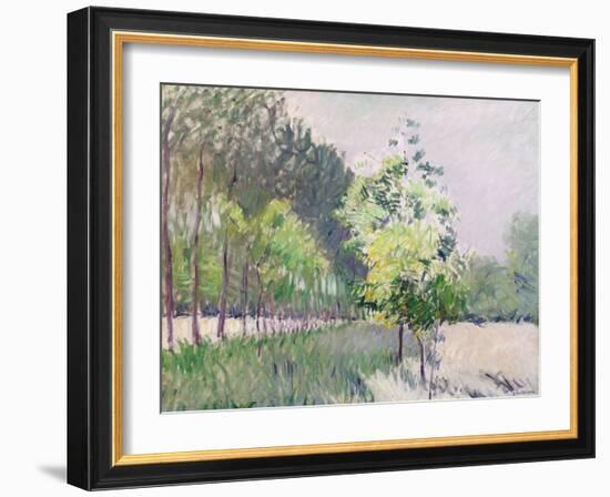 Orchard and Avenue of Trees (Oil on Canvas)-Gustave Caillebotte-Framed Giclee Print