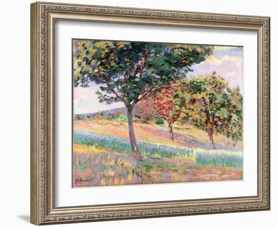 Orchard at St. Cheron, 1893-Armand Guillaumin-Framed Giclee Print