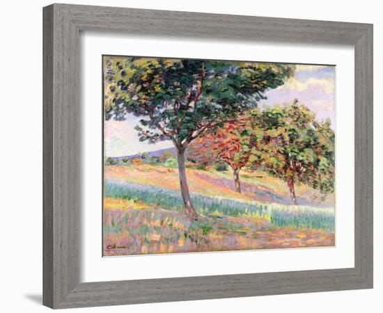 Orchard at St. Cheron, 1893-Armand Guillaumin-Framed Giclee Print