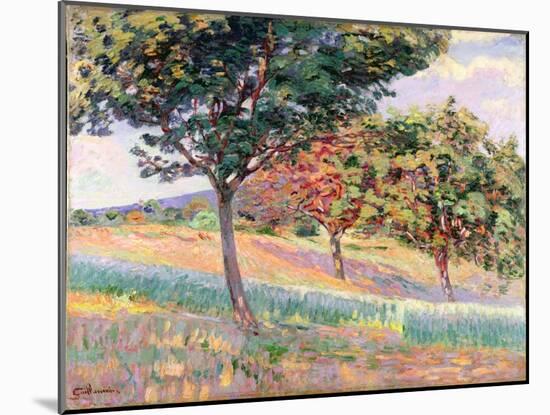 Orchard at St. Cheron, 1893-Armand Guillaumin-Mounted Giclee Print