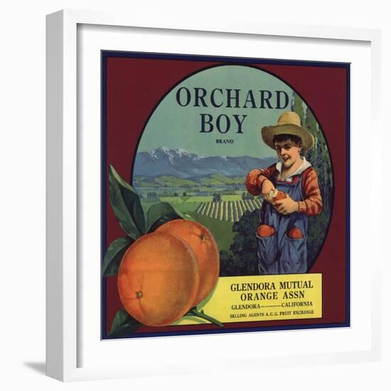 Orchard Boy Brand - Glendora, California - Citrus Crate Label-Lantern Press-Framed Art Print