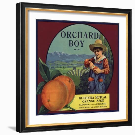 Orchard Boy Brand - Glendora, California - Citrus Crate Label-Lantern Press-Framed Art Print