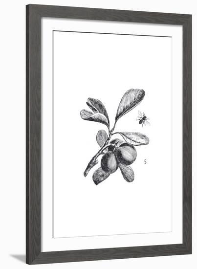 Orchard Flowers III-The Chelsea Collection-Framed Giclee Print