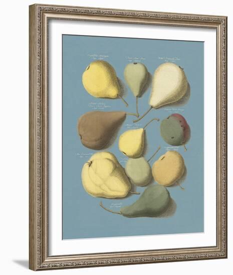 Orchard Fruits I-A^ Poiteau-Framed Giclee Print