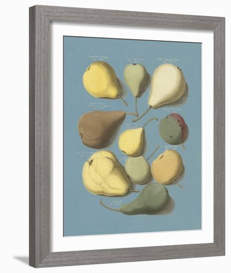 Orchard Fruits I-A^ Poiteau-Framed Giclee Print