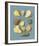 Orchard Fruits I-A^ Poiteau-Framed Giclee Print