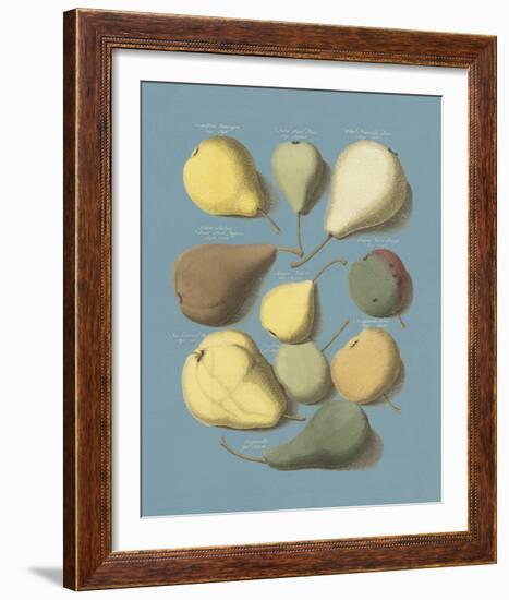 Orchard Fruits I-A^ Poiteau-Framed Giclee Print