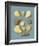 Orchard Fruits I-A^ Poiteau-Framed Giclee Print