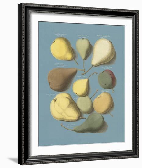 Orchard Fruits I-A^ Poiteau-Framed Giclee Print