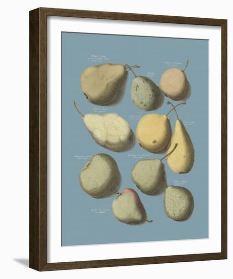 Orchard Fruits II-A^ Poiteau-Framed Giclee Print