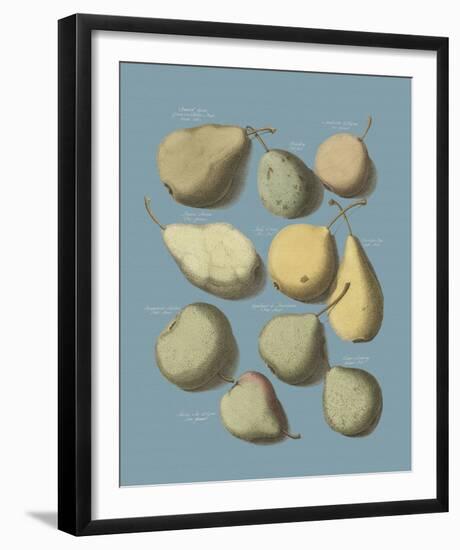 Orchard Fruits II-A^ Poiteau-Framed Giclee Print