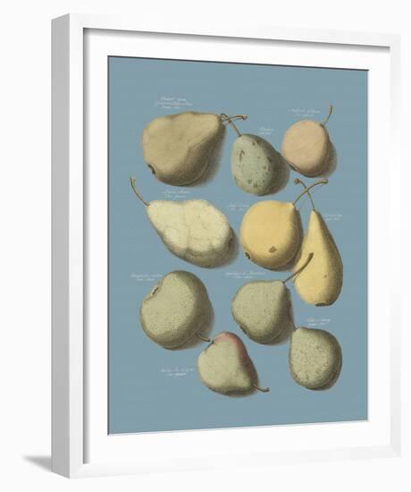 Orchard Fruits II-A^ Poiteau-Framed Giclee Print