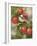 Orchard Guest-William Vanderdasson-Framed Giclee Print