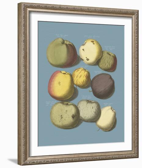 Orchard Harvest I-A^ Poiteau-Framed Giclee Print