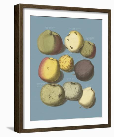 Orchard Harvest I-A^ Poiteau-Framed Giclee Print