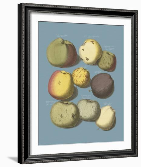 Orchard Harvest I-A^ Poiteau-Framed Giclee Print