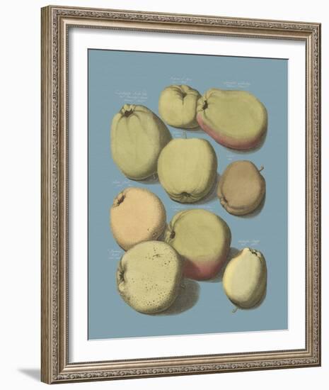 Orchard Harvest II-A^ Poiteau-Framed Giclee Print