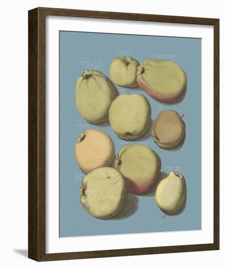 Orchard Harvest II-A^ Poiteau-Framed Giclee Print