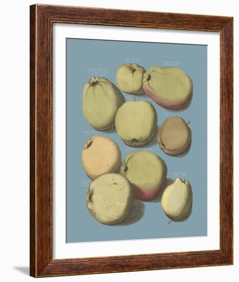 Orchard Harvest II-A^ Poiteau-Framed Giclee Print