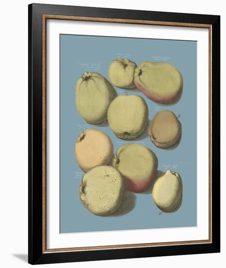 Orchard Harvest II-A^ Poiteau-Framed Giclee Print