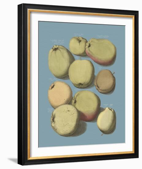 Orchard Harvest II-A^ Poiteau-Framed Giclee Print