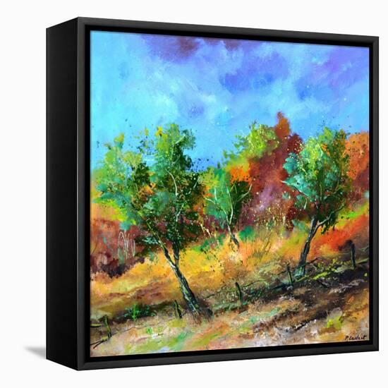 Orchard in autumn-Pol Ledent-Framed Stretched Canvas