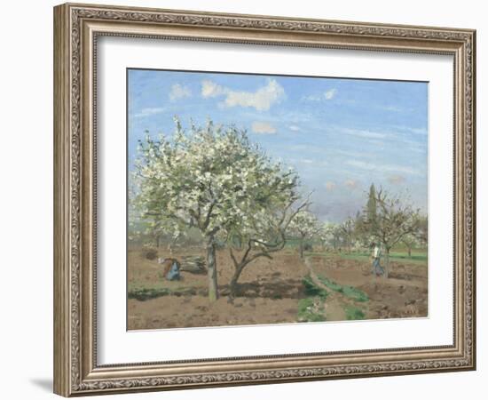 Orchard in Bloom, Louveciennes, 1872-Camille Pissarro-Framed Giclee Print