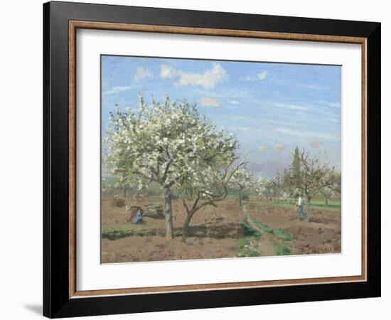 Orchard in Bloom, Louveciennes, 1872-Camille Pissarro-Framed Giclee Print