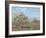 Orchard in Bloom, Louveciennes, 1872-Camille Pissarro-Framed Giclee Print