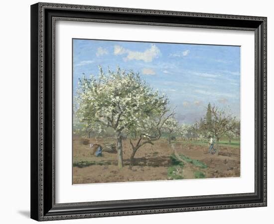 Orchard in Bloom, Louveciennes, 1872-Camille Pissarro-Framed Giclee Print