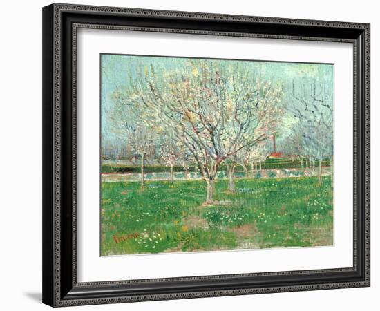 Orchard in Blossom, 1880-Vincent van Gogh-Framed Giclee Print