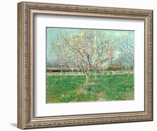 Orchard in Blossom, 1880-Vincent van Gogh-Framed Giclee Print