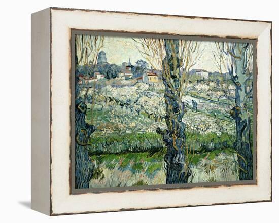 Orchard in Blossom with a View of Arles, 1889-Vincent van Gogh-Framed Premier Image Canvas