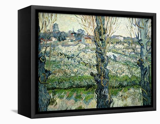 Orchard in Blossom with a View of Arles, 1889-Vincent van Gogh-Framed Premier Image Canvas