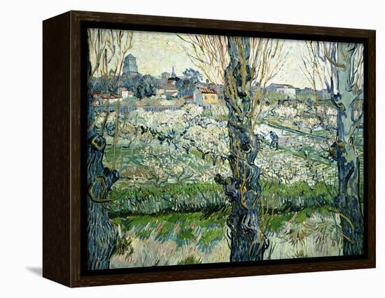 Orchard in Blossom with a View of Arles, 1889-Vincent van Gogh-Framed Premier Image Canvas