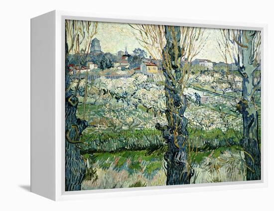 Orchard in Blossom with a View of Arles, 1889-Vincent van Gogh-Framed Premier Image Canvas