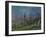 Orchard in Spring, By, 1881-Alfred Sisley-Framed Giclee Print