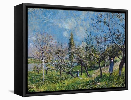 Orchard In Spring-Alfred Sisley-Framed Premier Image Canvas