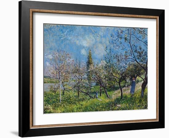 Orchard In Spring-Alfred Sisley-Framed Giclee Print