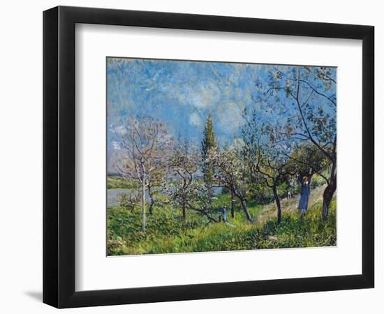 Orchard In Spring-Alfred Sisley-Framed Giclee Print