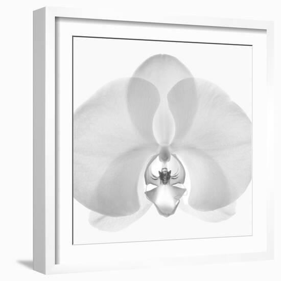 Orchard Intimata, 2009-Hiroyuki Arakawa-Framed Photographic Print