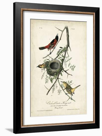 Orchard Orioles-John James Audubon-Framed Art Print